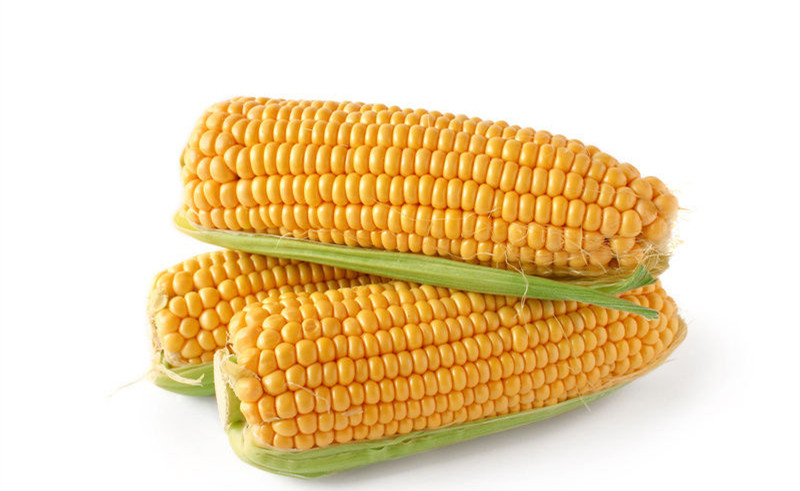 corn cob