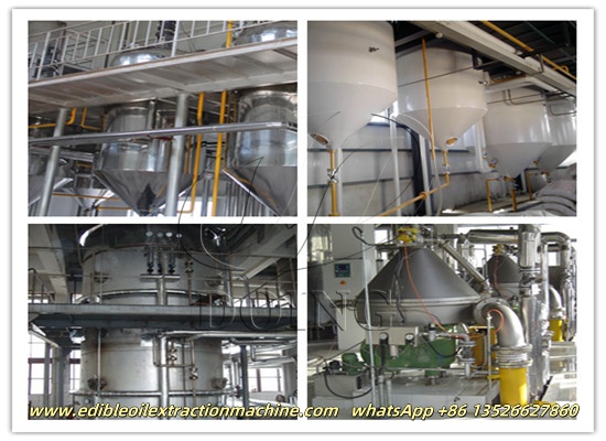 What is the importance of edible oil refining?