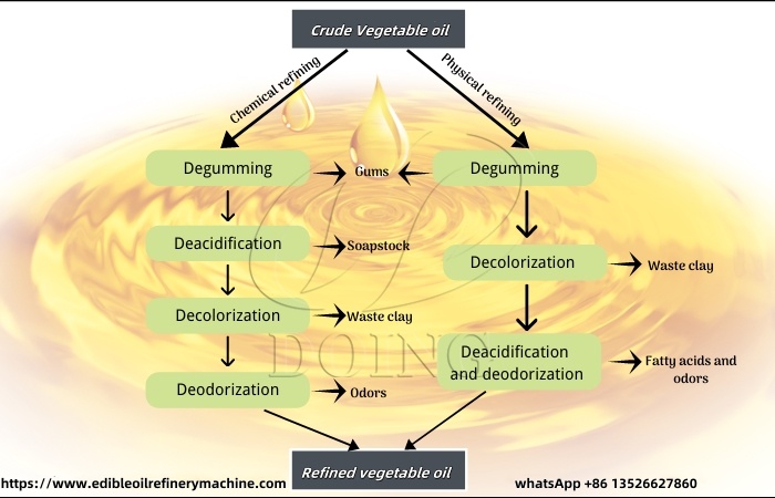 vegetable oil refining processes.jpg