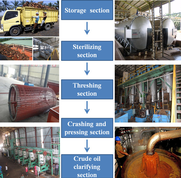 palm oil processing machine