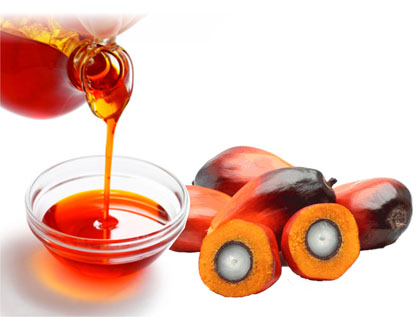 palm fruit and palm oil