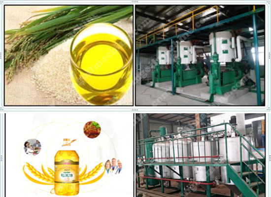 rice bran oil production machine 