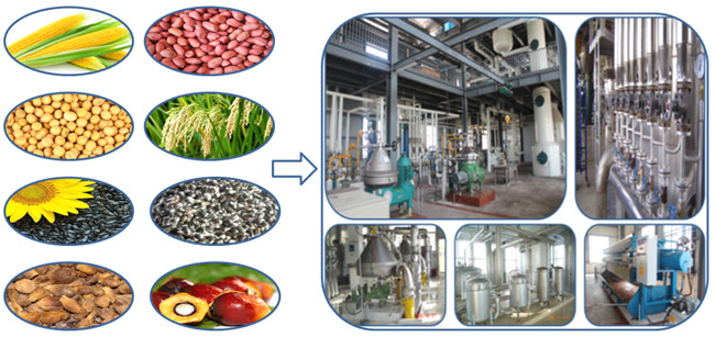 edible oil reifnery plant