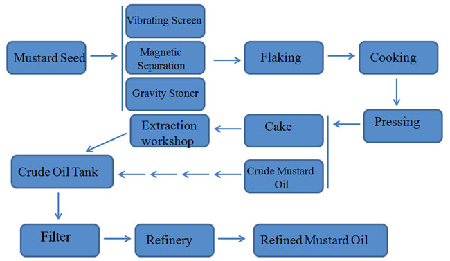 mustard seed oil production process