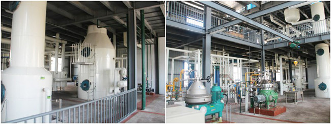 mustard oil refining machine