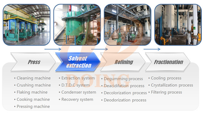 start a sunflower oil processing factory